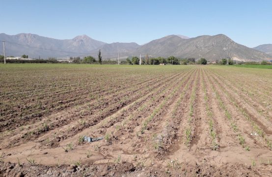 Terreno Industrial Llay-Llay
